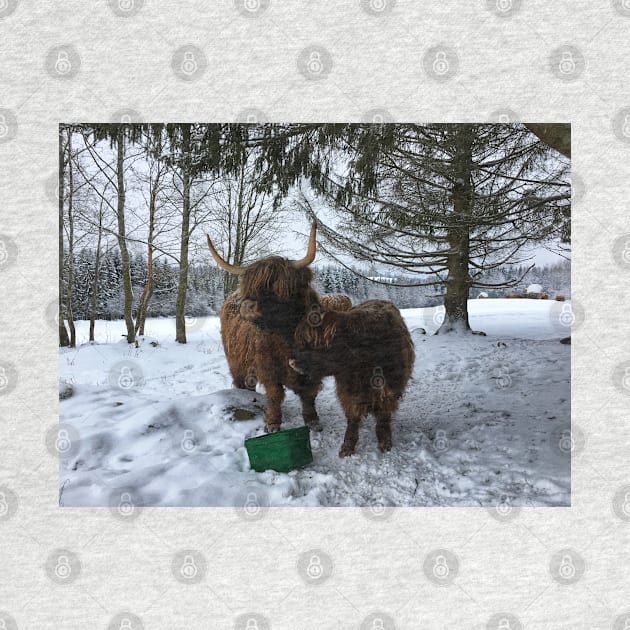 Scottish Highland Cattle Cow and Calf 1648 by SaarelaHighland